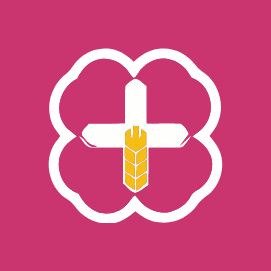 Hrvatski sindikat prometnih pilota